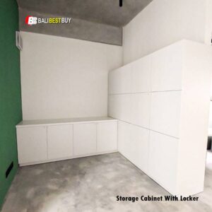 Storage cabinet with locker